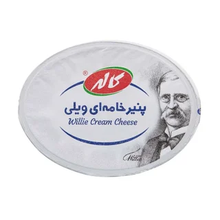 پنیر خامه ای ویلی 200گرم